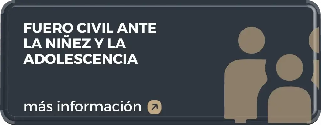 fuero civil ante la niñez