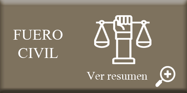 icono fuero civil
