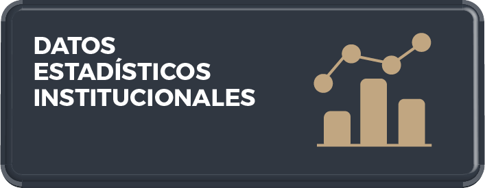 DATOS ESTADISTICOS 06