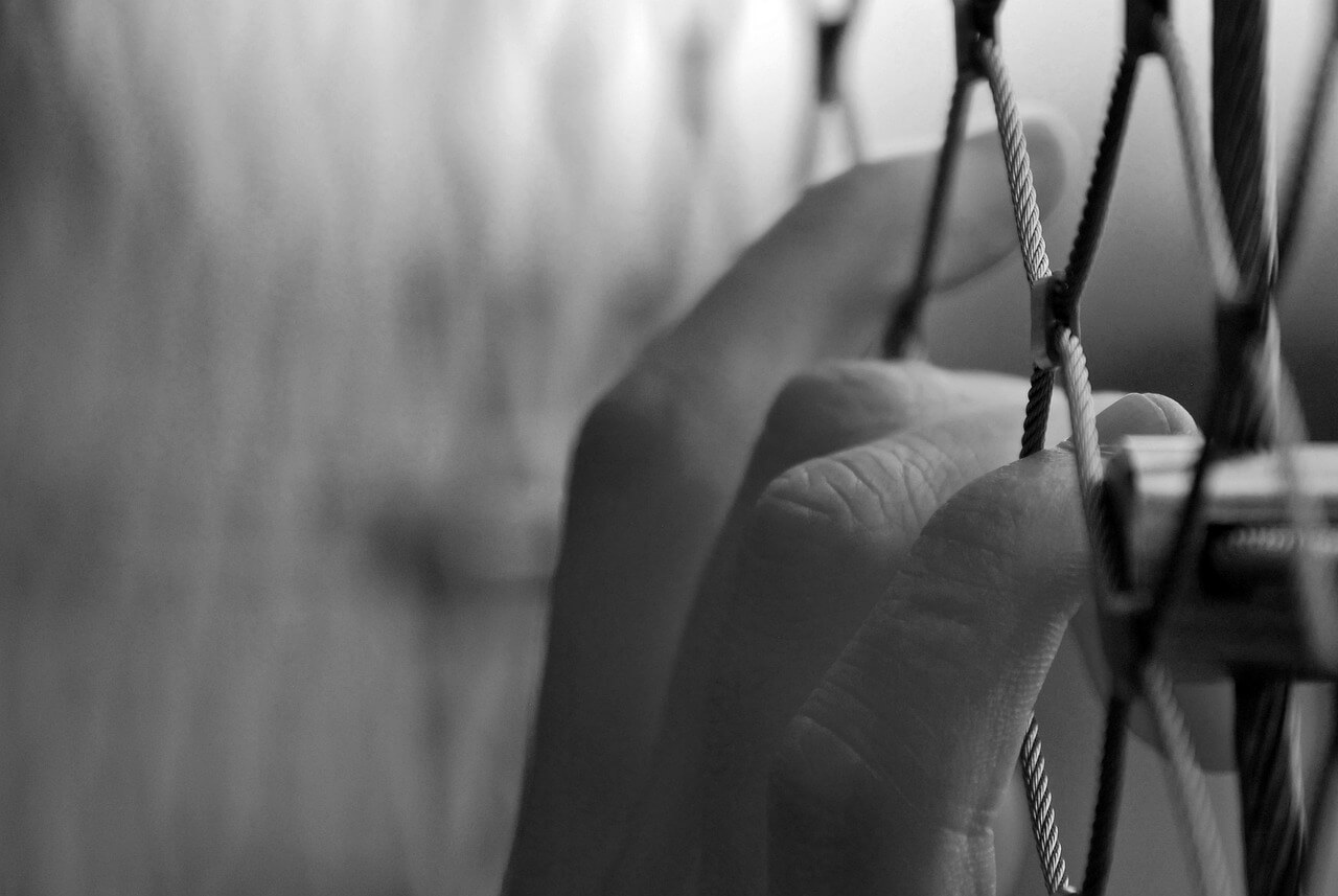 cage 3637026 1280
