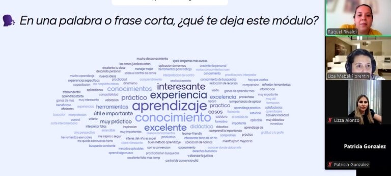 litigacion 02