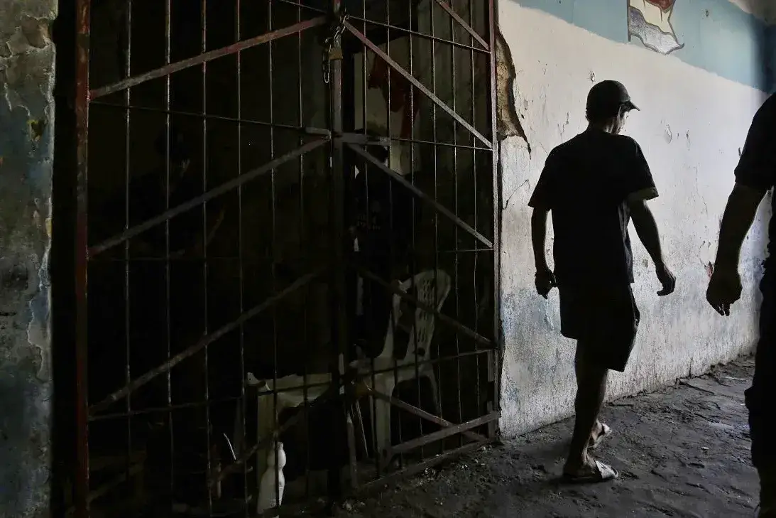 WhatsApp Image 2025 11 05 at 09.18.04