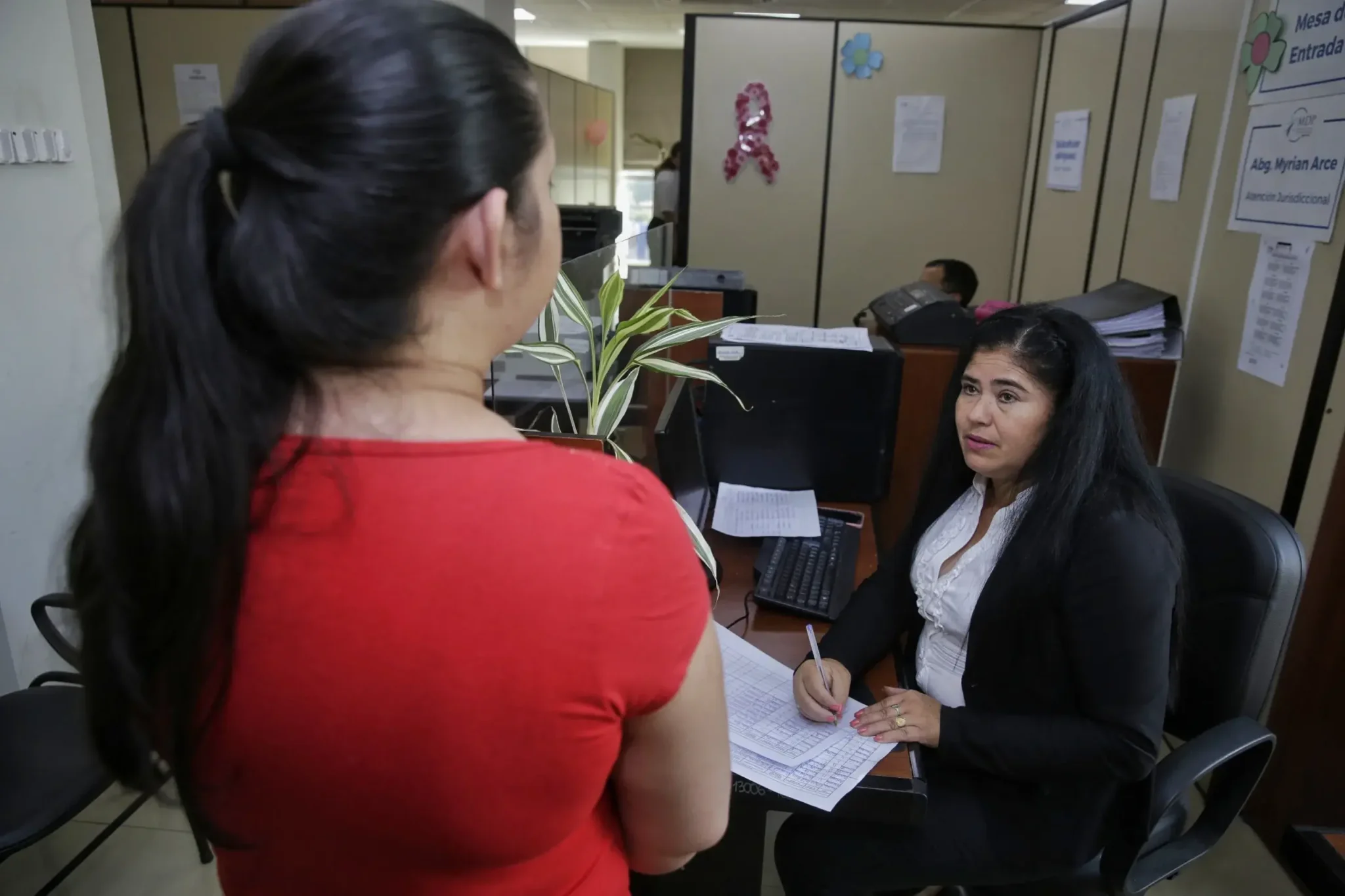 WhatsApp Image 2026 02 10 at 11.28.14