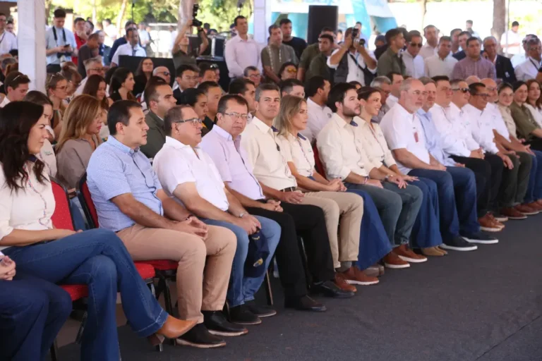 WhatsApp Image 2026 03 31 at 11.37.04