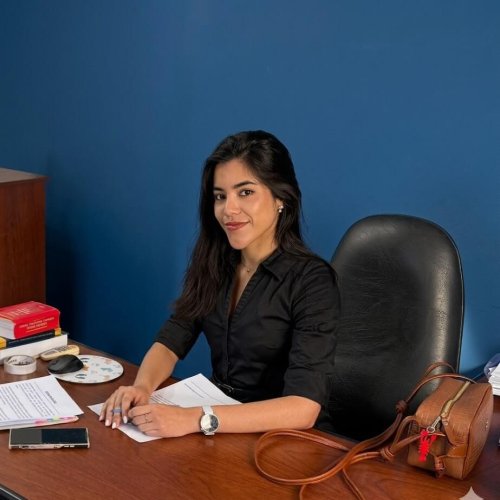 Defensora Pública Alejandra Lopez.