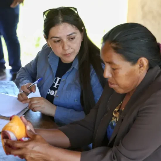 WhatsApp Image 2025 11 25 at 15.22.26 (1)